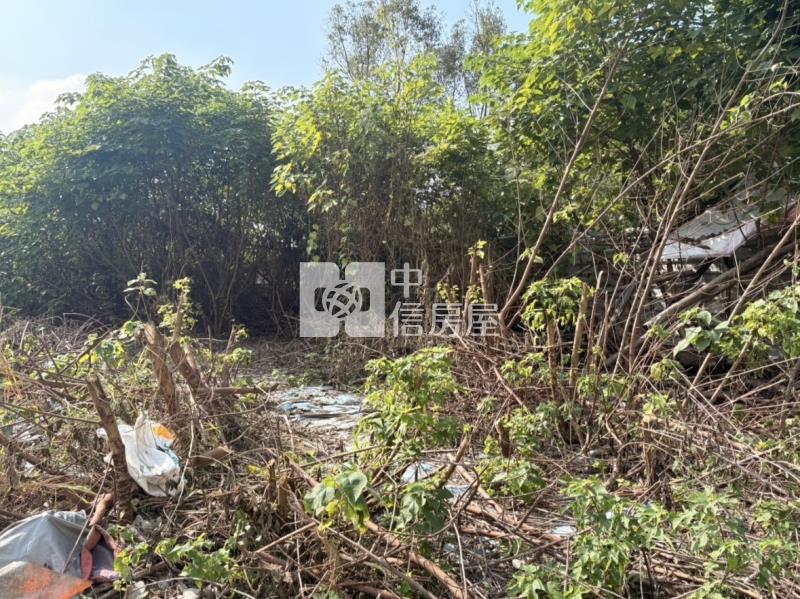 屏東土地《內埔龍泉新生國小建地》房屋室內格局與周邊環境