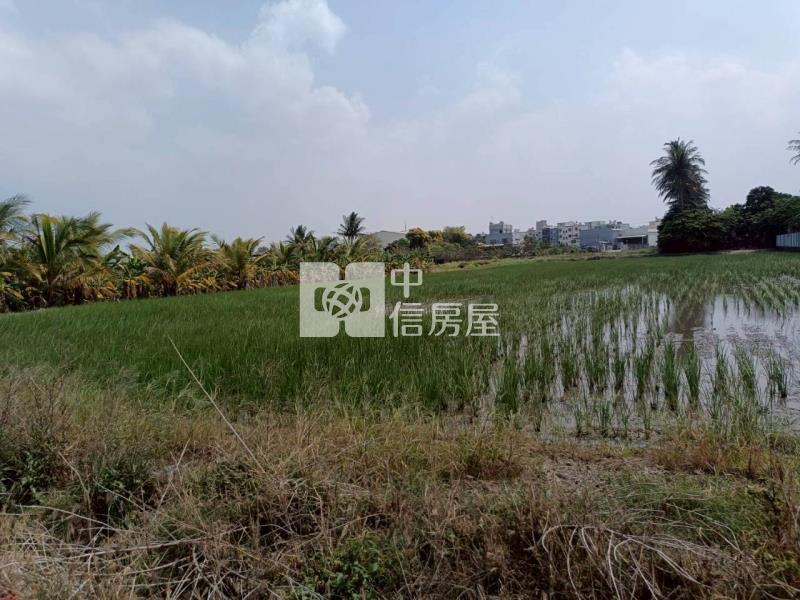 永康大灣方正美農地房屋室內格局與周邊環境