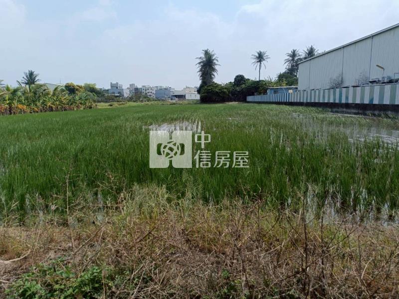 永康大灣方正美農地房屋室內格局與周邊環境