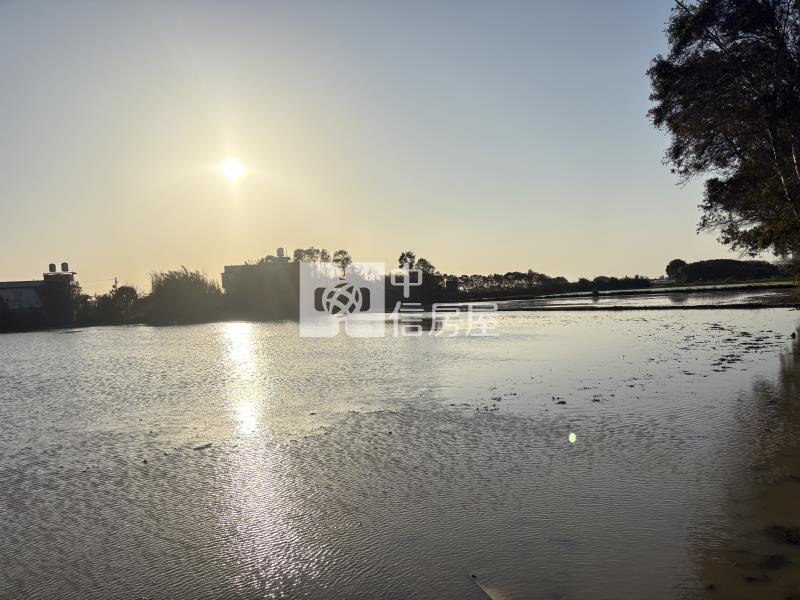 新屋三面路農地房屋室內格局與周邊環境