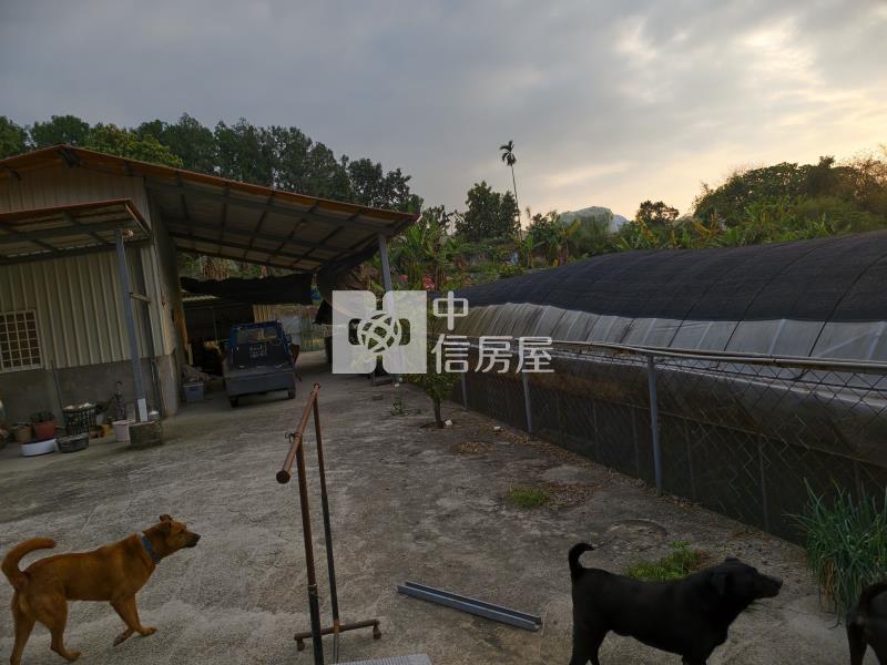 房里農地房屋室內格局與周邊環境