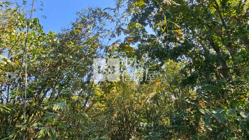 龍崎楠坑產道旁1.5甲山坡美農地房屋室內格局與周邊環境