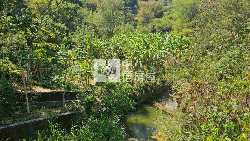 龍崎楠坑產道旁1.5甲山坡美農地房屋室內格局與周邊環境
