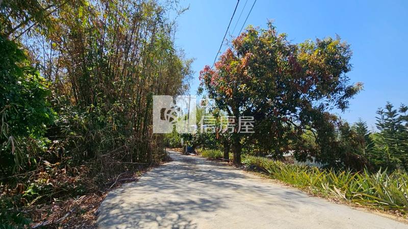 龍崎楠坑產道旁1.5甲山坡美農地房屋室內格局與周邊環境