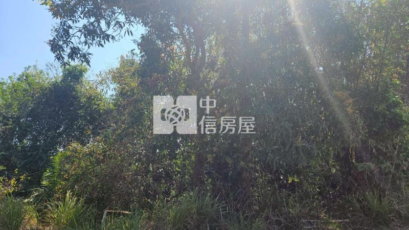 龍崎楠坑產道旁1.5甲山坡美農地房屋室內格局與周邊環境