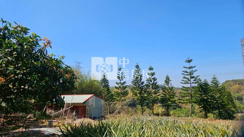 龍崎楠坑產道旁1.5甲山坡美農地房屋室內格局與周邊環境