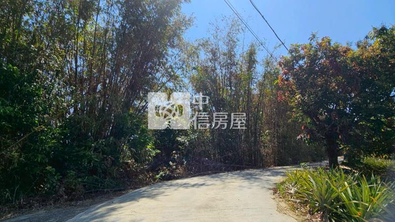 龍崎楠坑產道旁1.5甲山坡美農地房屋室內格局與周邊環境