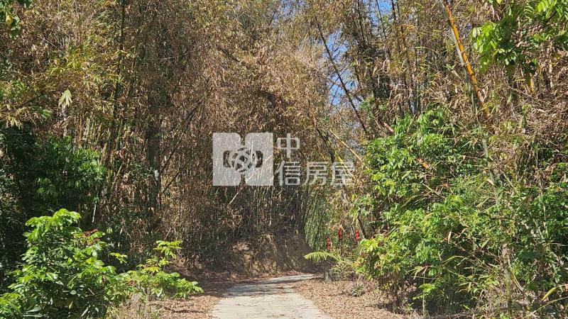 龍崎楠坑產道旁1.5甲山坡美農地房屋室內格局與周邊環境