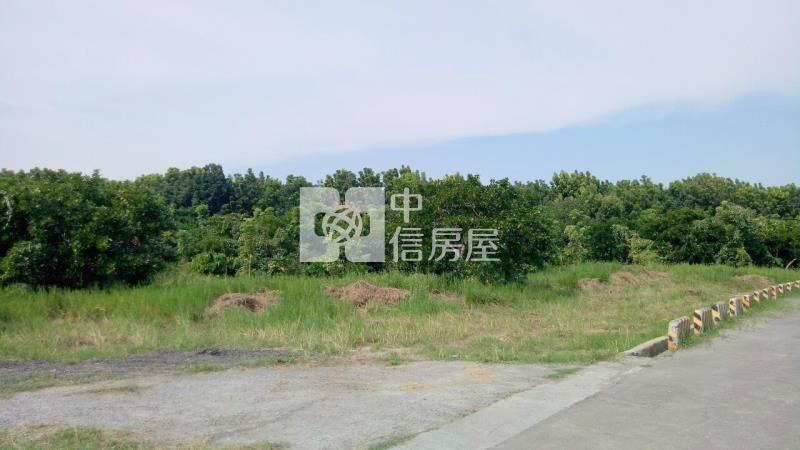 歸仁近高鐵大面寬438美農地房屋室內格局與周邊環境