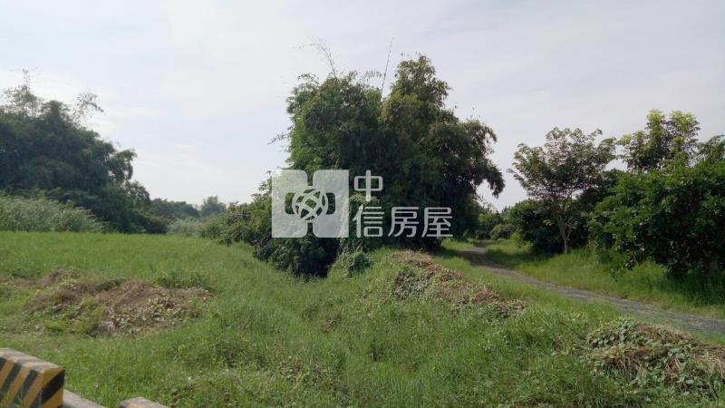 歸仁近高鐵大面寬438美農地房屋室內格局與周邊環境