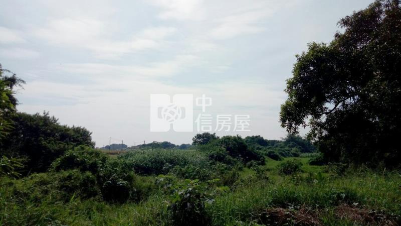 歸仁近高鐵大面寬438美農地房屋室內格局與周邊環境