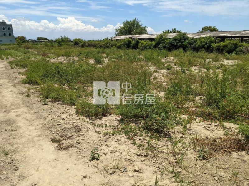 近將軍國小大面寬315坪建地房屋室內格局與周邊環境