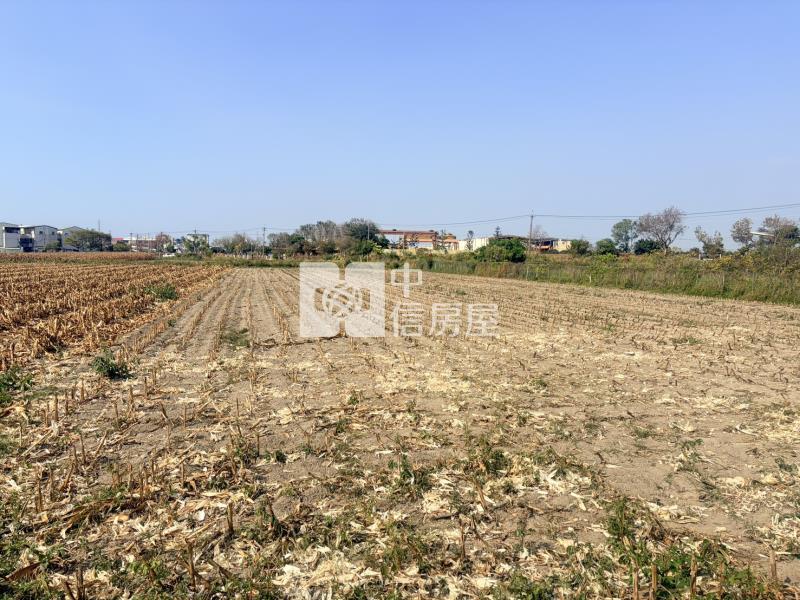 新營新生國小旁農地房屋室內格局與周邊環境