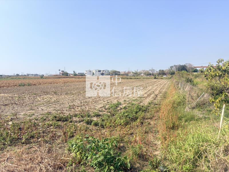 新營新生國小旁農地房屋室內格局與周邊環境