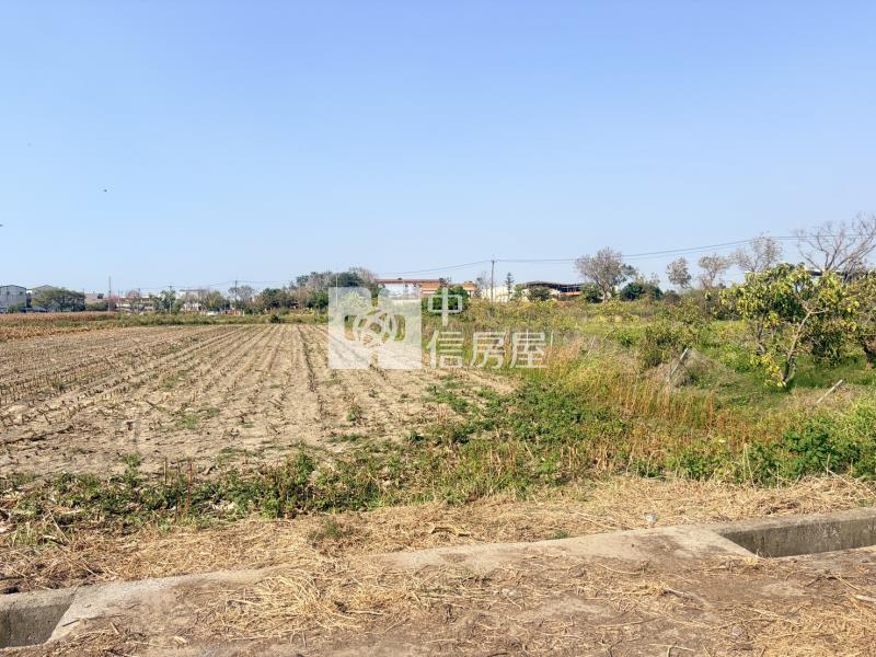 新營新生國小旁農地房屋室內格局與周邊環境