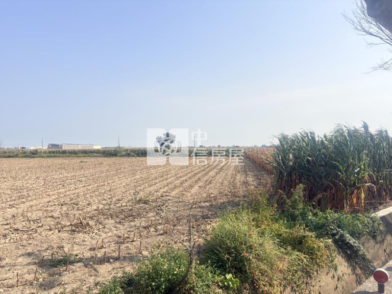 新營姑爺段761坪農地房屋室內格局與周邊環境