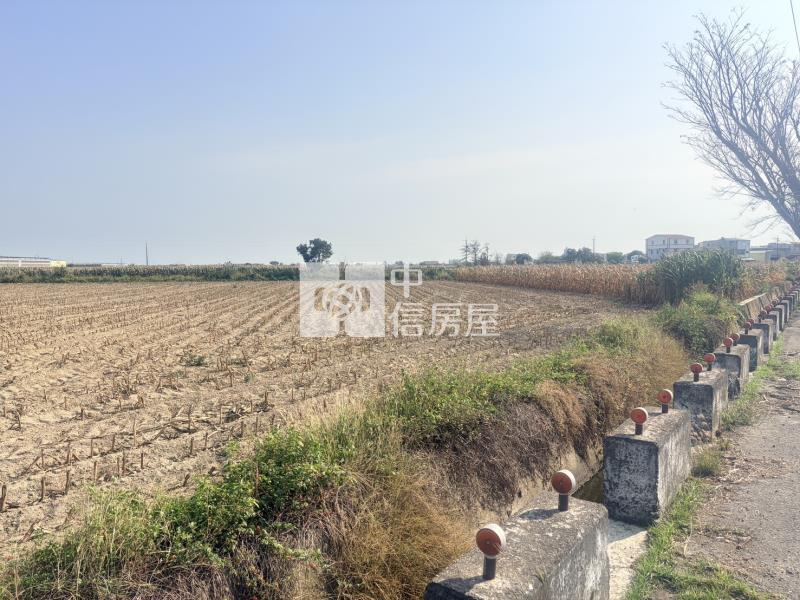 新營姑爺段761坪農地房屋室內格局與周邊環境