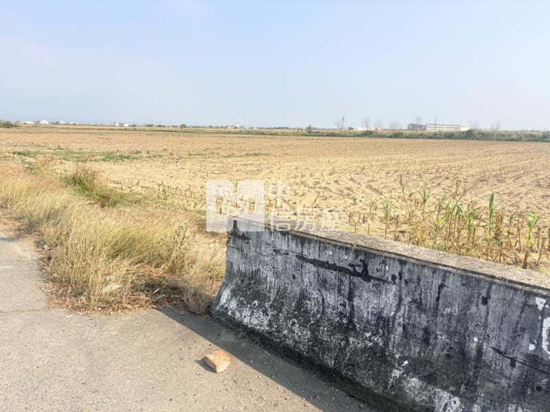 新營姑爺段761坪農地房屋室內格局與周邊環境