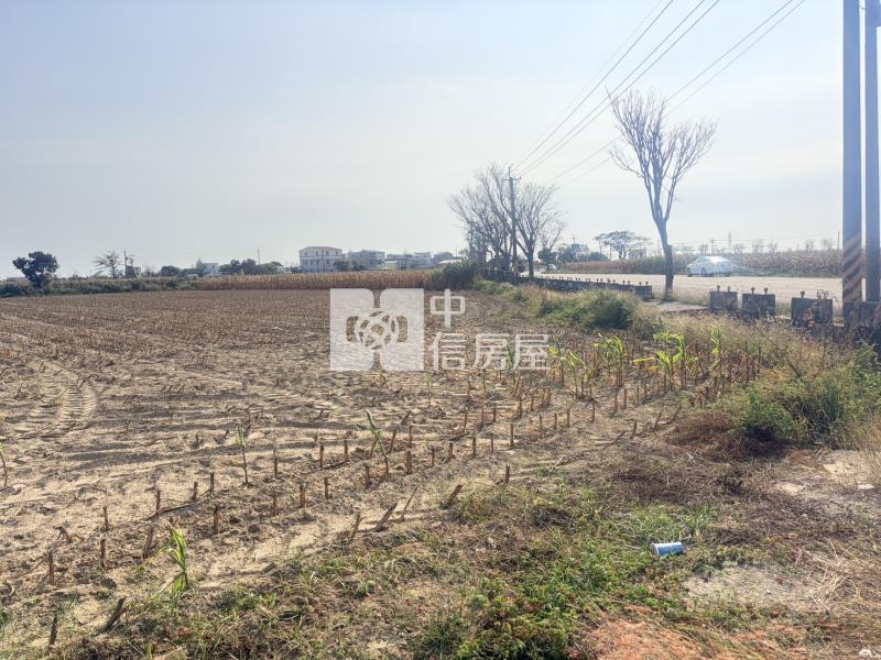 新營姑爺段761坪農地房屋室內格局與周邊環境