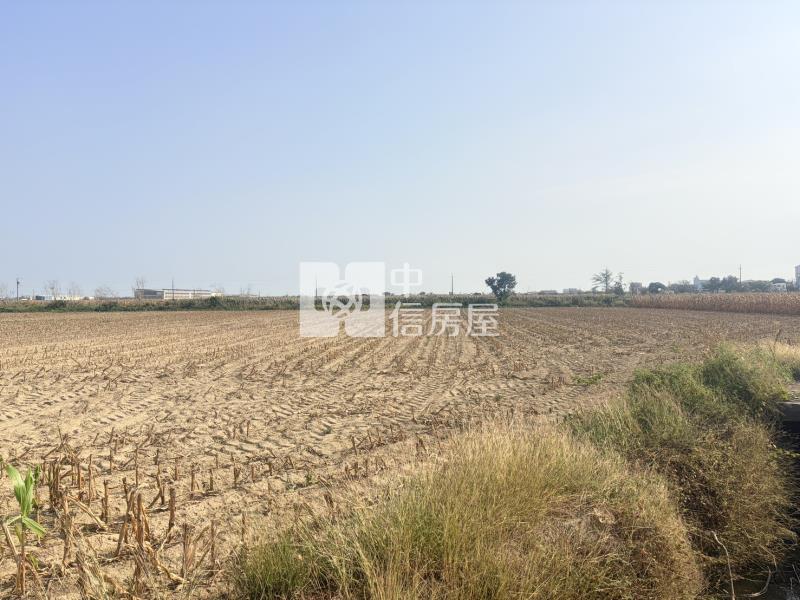 新營姑爺段761坪農地房屋室內格局與周邊環境