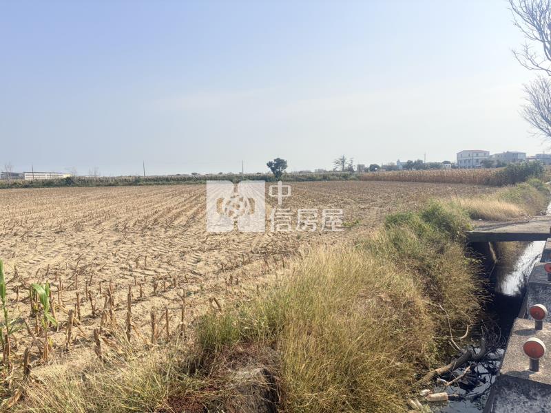 新營姑爺段761坪農地房屋室內格局與周邊環境