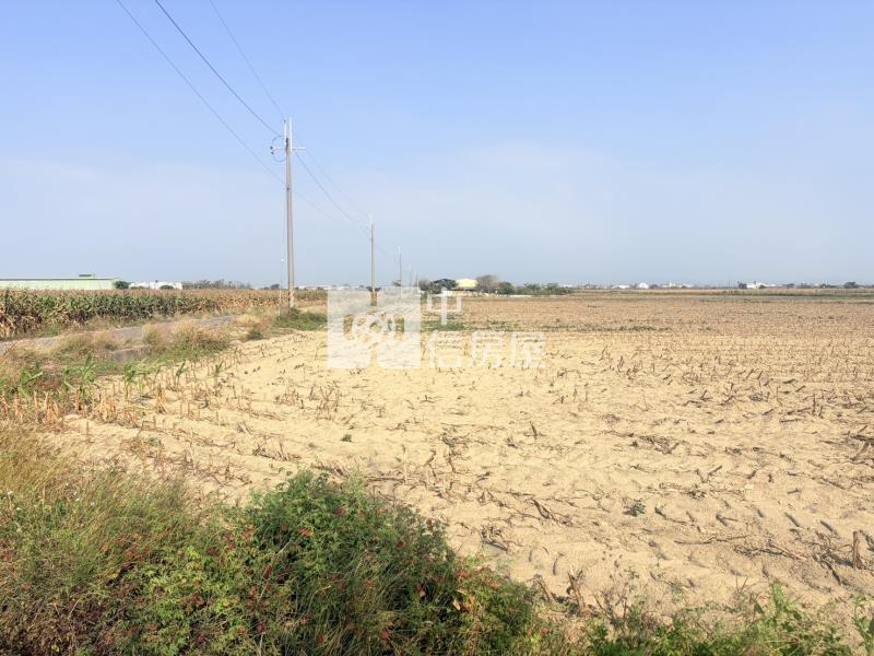 新營姑爺段761坪農地房屋室內格局與周邊環境