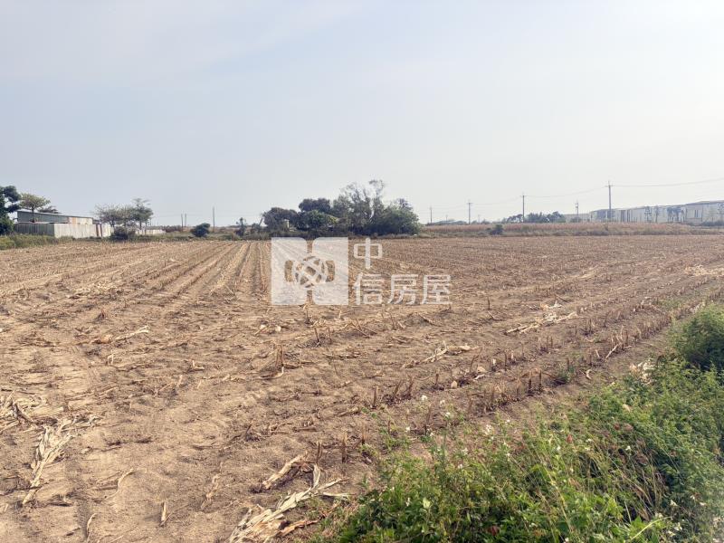 新營下角帶圍段423.8坪農地房屋室內格局與周邊環境