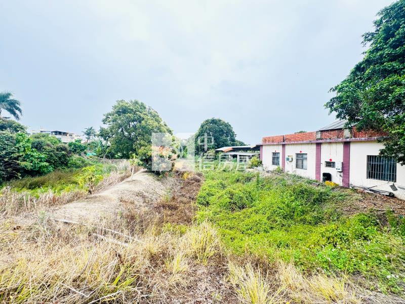 【安家】專任-彰化花壇國中持分大坪數農+建房屋室內格局與周邊環境