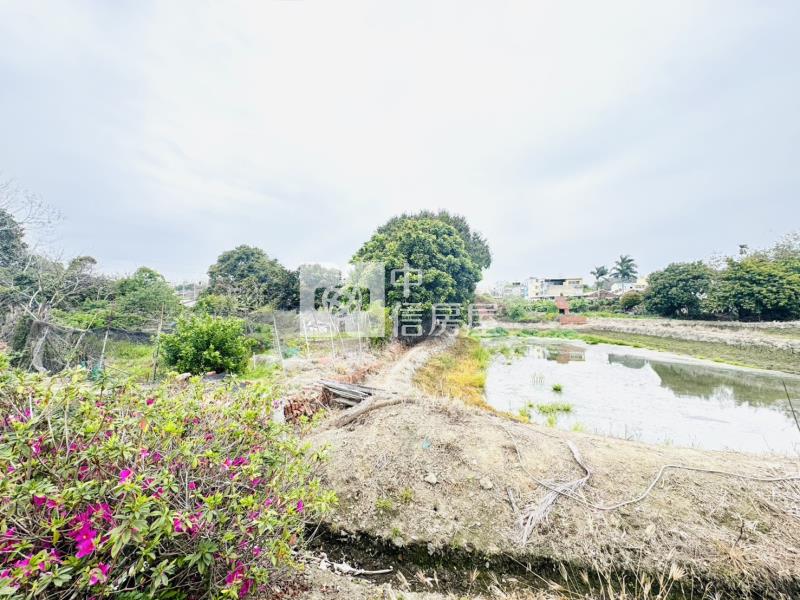 【安家】專任-彰化花壇國中持分大坪數農+建房屋室內格局與周邊環境