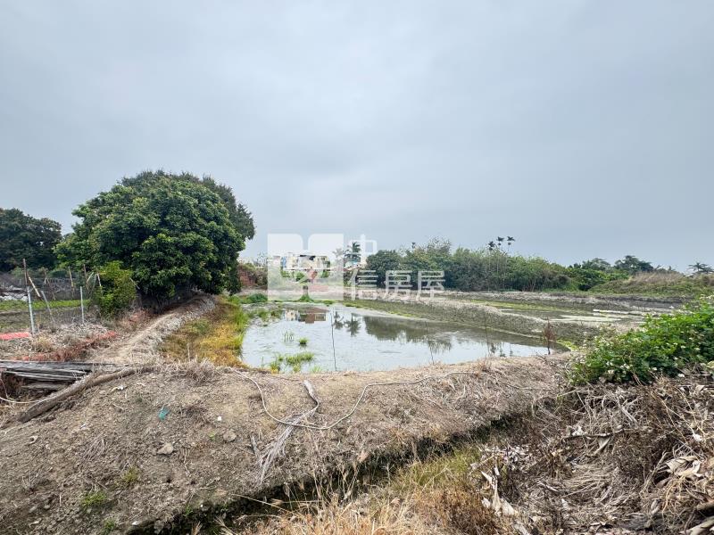 【安家】專任-彰化花壇國中持分大坪數農+建房屋室內格局與周邊環境