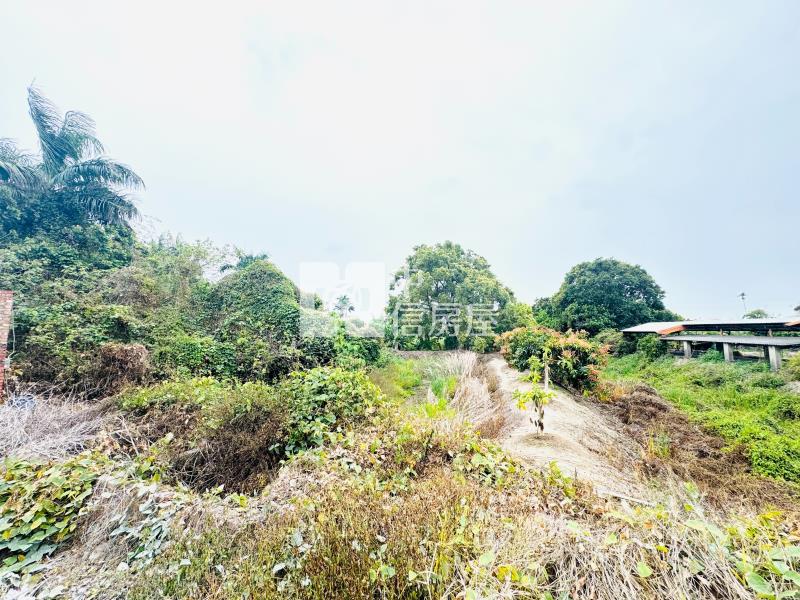 【安家】專任-彰化花壇國中持分大坪數農+建房屋室內格局與周邊環境