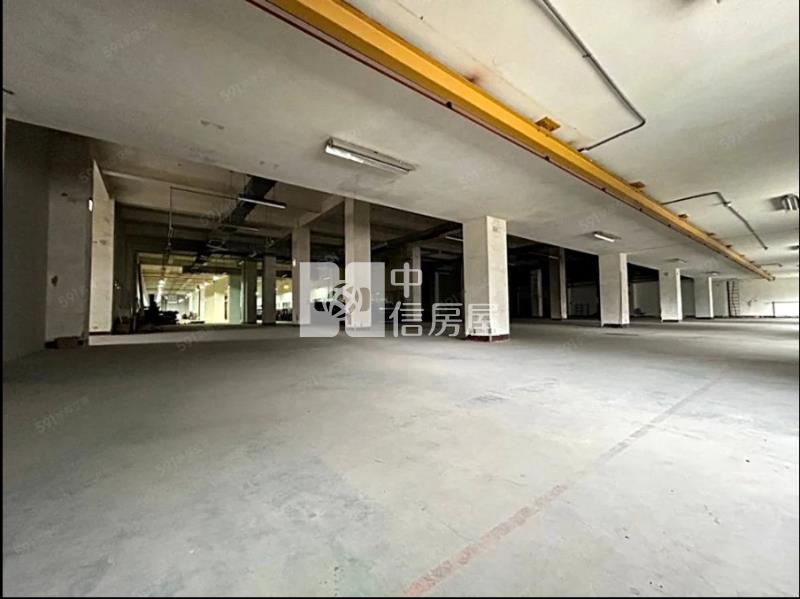 楊梅交流道萬坪稀有釋出挑高工業廠房房屋室內格局與周邊環境