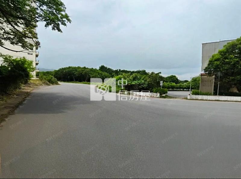 楊梅交流道萬坪稀有釋出挑高工業廠房房屋室內格局與周邊環境