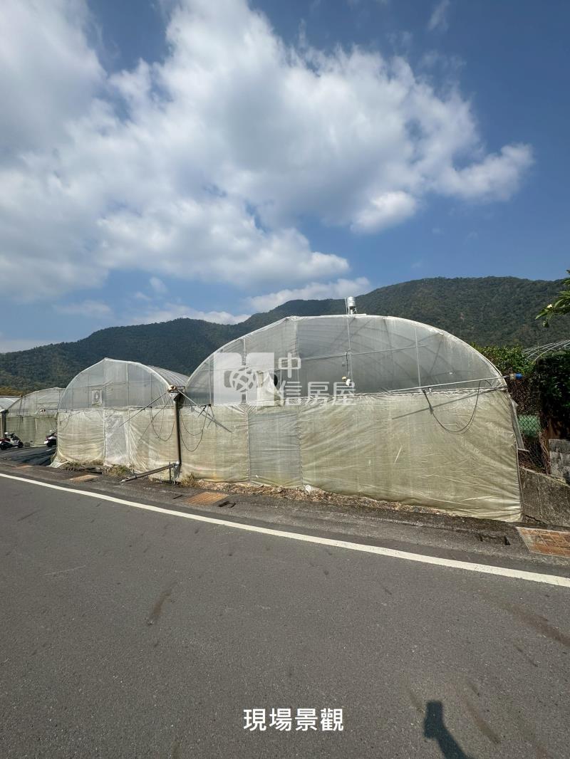 (獨家專賣)011-埔里牛尾段前後臨路田地【中信王牌】房屋室內格局與周邊環境