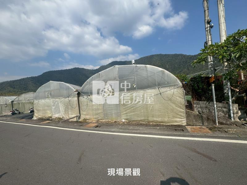 (獨家專賣)011-埔里牛尾段前後臨路田地【中信王牌】房屋室內格局與周邊環境