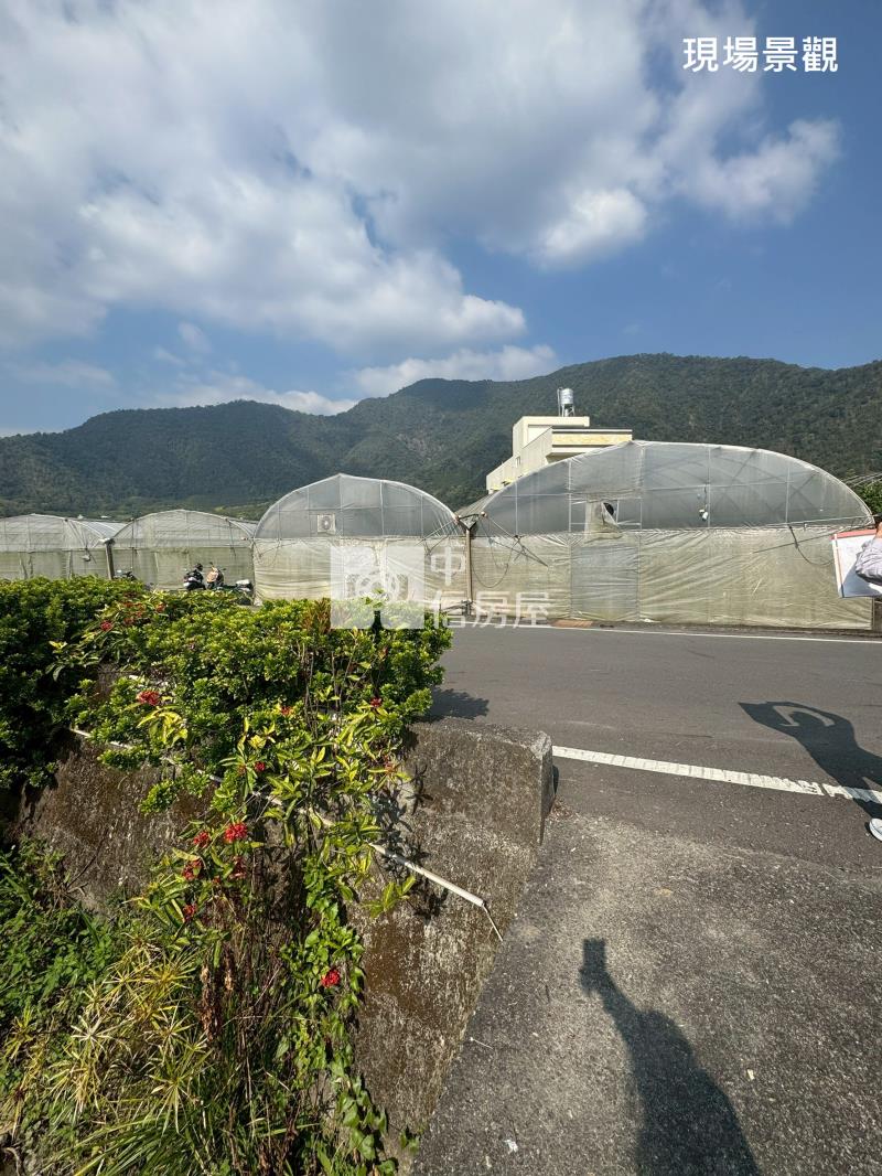 (獨家專賣)011-埔里牛尾段前後臨路田地【中信王牌】房屋室內格局與周邊環境