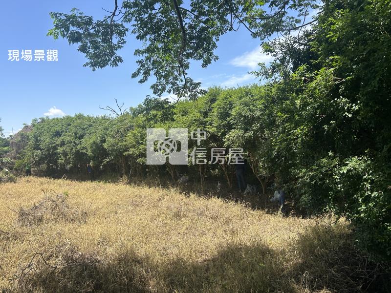 (獨家專賣)012-埔里四角城段樹葡萄土地【中信王牌】房屋室內格局與周邊環境