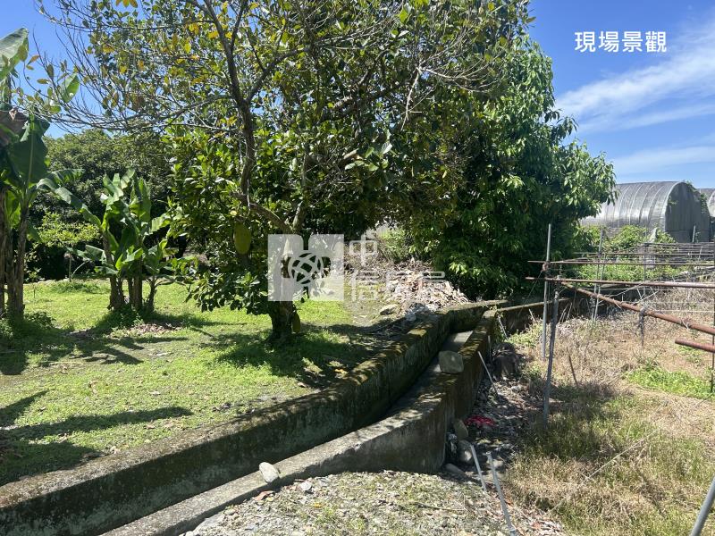 (獨家專賣)012-埔里四角城段樹葡萄土地【中信王牌】房屋室內格局與周邊環境