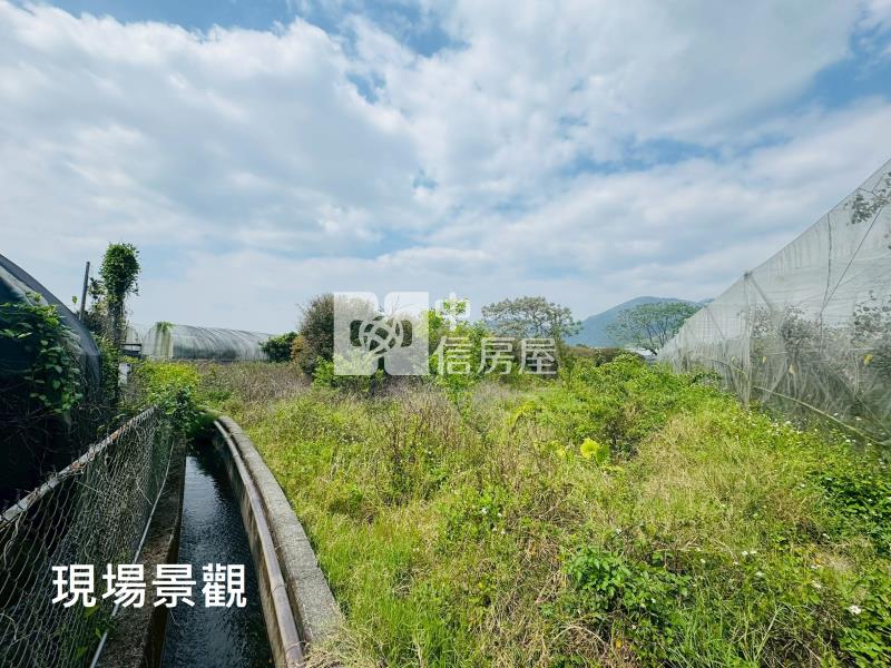 (獨家專賣)012-埔里四角城段樹葡萄土地【中信王牌】房屋室內格局與周邊環境