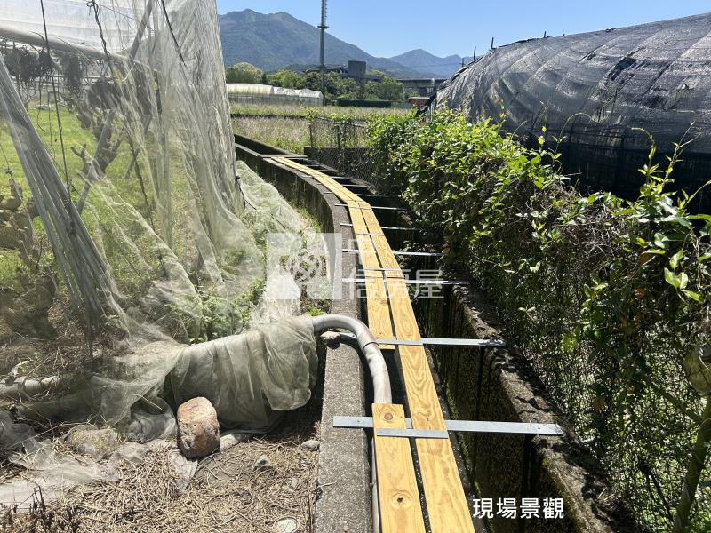 (獨家專賣)012-埔里四角城段樹葡萄土地【中信王牌】房屋室內格局與周邊環境