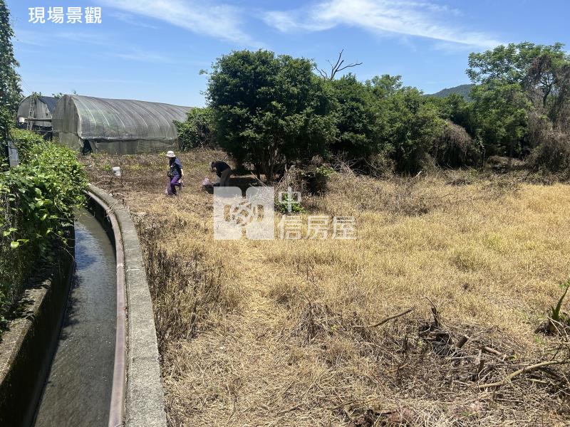 (獨家專賣)012-埔里四角城段樹葡萄土地【中信王牌】房屋室內格局與周邊環境