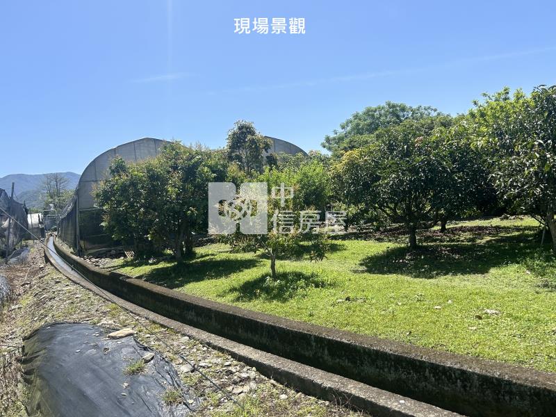 (獨家專賣)012-埔里四角城段樹葡萄土地【中信王牌】房屋室內格局與周邊環境