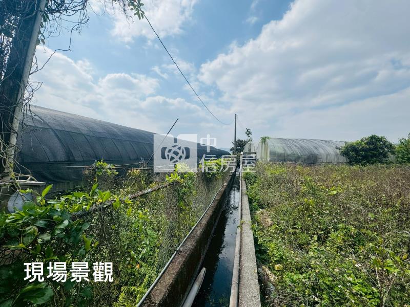 (獨家專賣)012-埔里四角城段樹葡萄土地【中信王牌】房屋室內格局與周邊環境