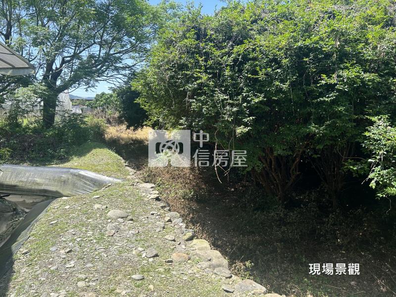 (獨家專賣)012-埔里四角城段樹葡萄土地【中信王牌】房屋室內格局與周邊環境