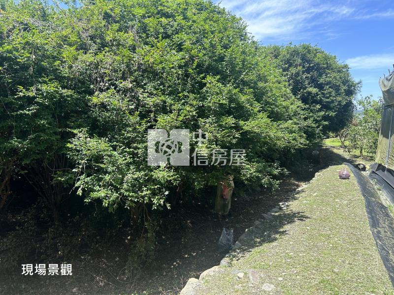 (獨家專賣)012-埔里四角城段樹葡萄土地【中信王牌】房屋室內格局與周邊環境