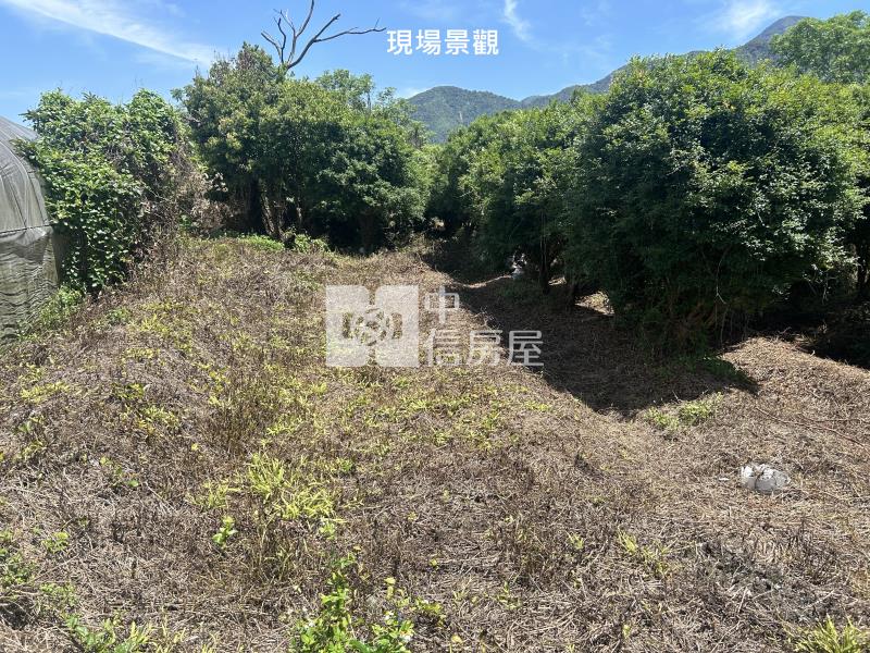 (獨家專賣)012-埔里四角城段樹葡萄土地【中信王牌】房屋室內格局與周邊環境