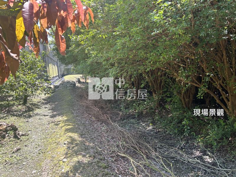 (獨家專賣)012-埔里四角城段樹葡萄土地【中信王牌】房屋室內格局與周邊環境