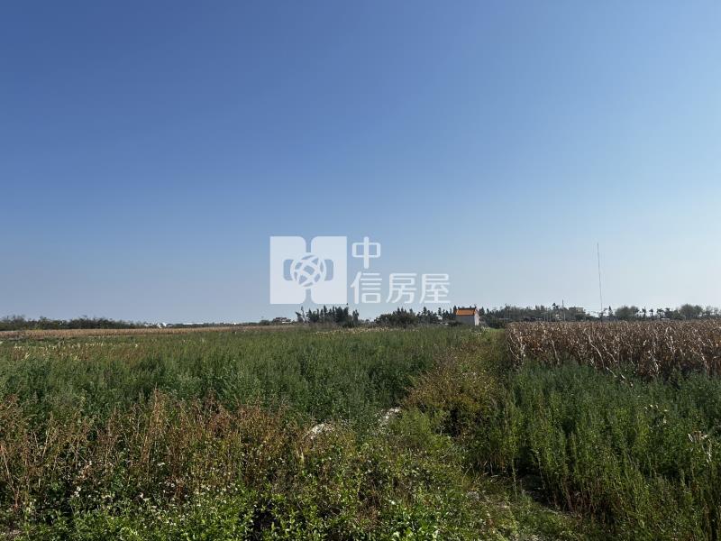 佳里近春園農場2.5分之一般美農地房屋室內格局與周邊環境