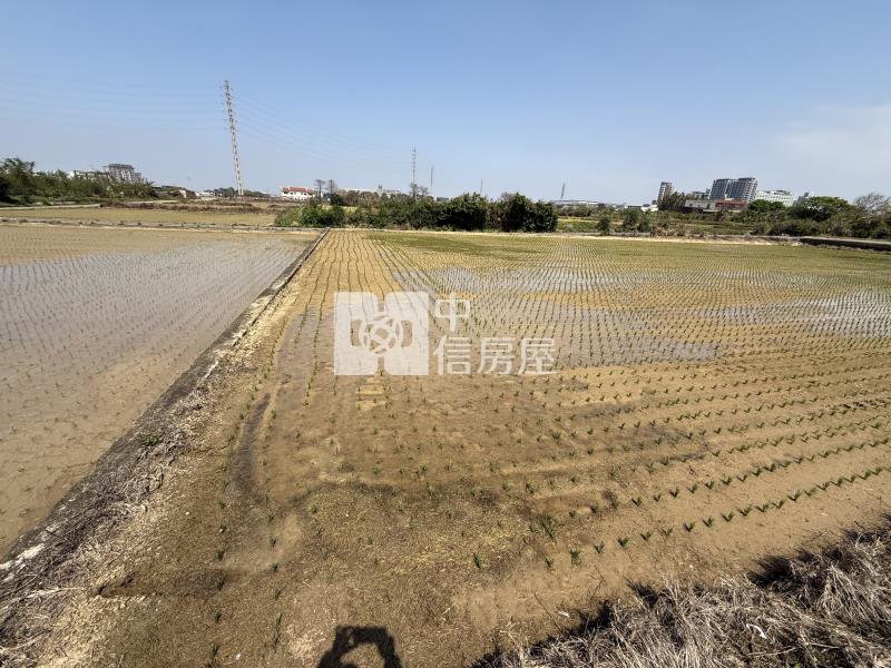 近景碩低總價美農地房屋室內格局與周邊環境