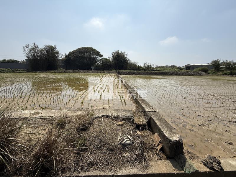 近景碩低總價美農地房屋室內格局與周邊環境